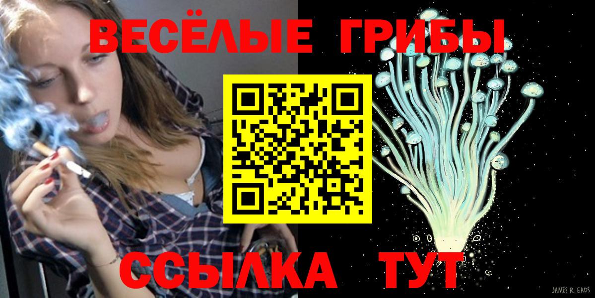 Ангарск  Псилоцибиновые грибы Cubensis  цены   Вход с VPN 