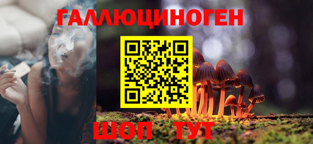 Галлюциногенные грибы Psilocybe Ангарск